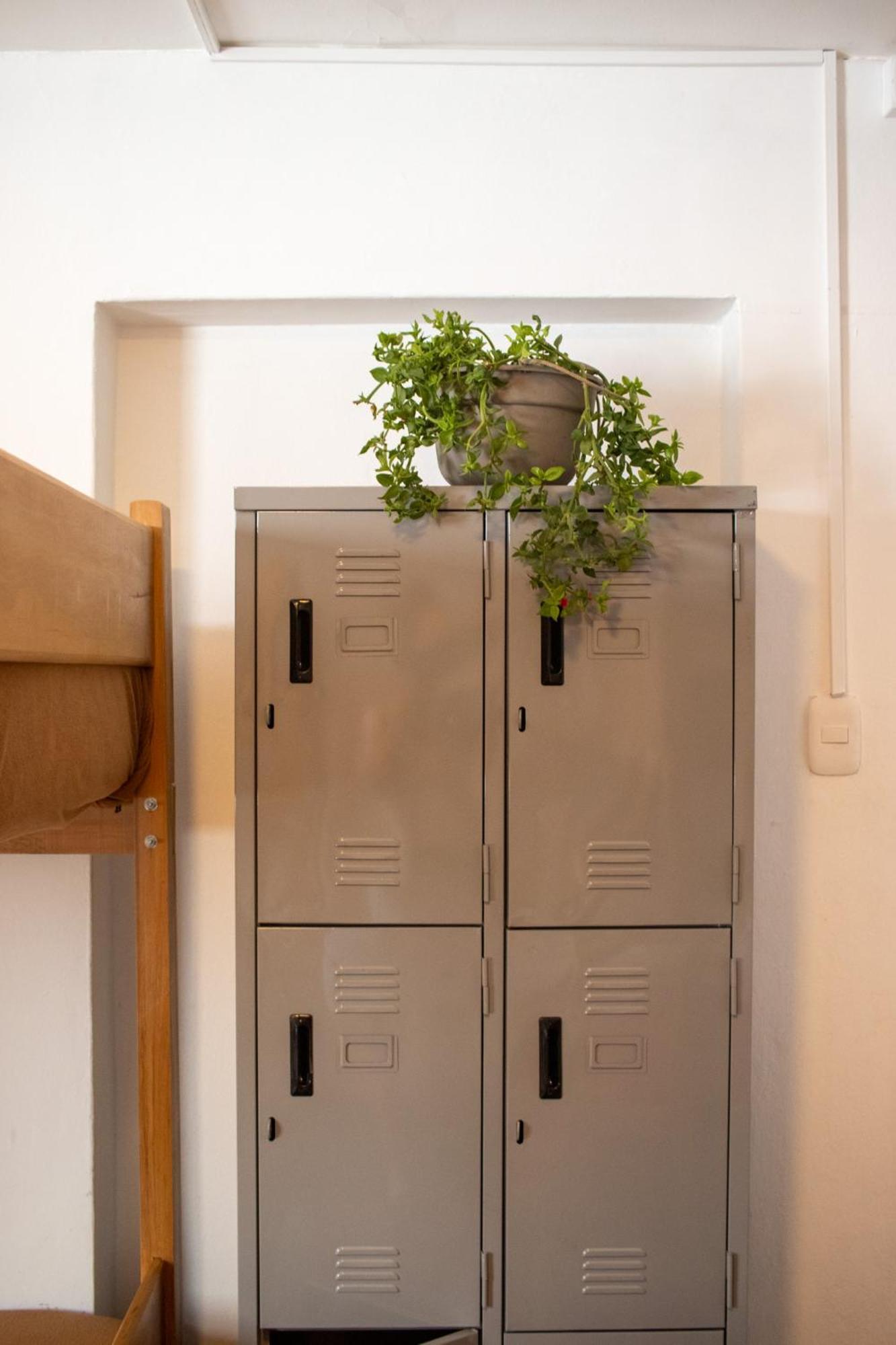לימה Temazcal Hostel מראה חיצוני תמונה