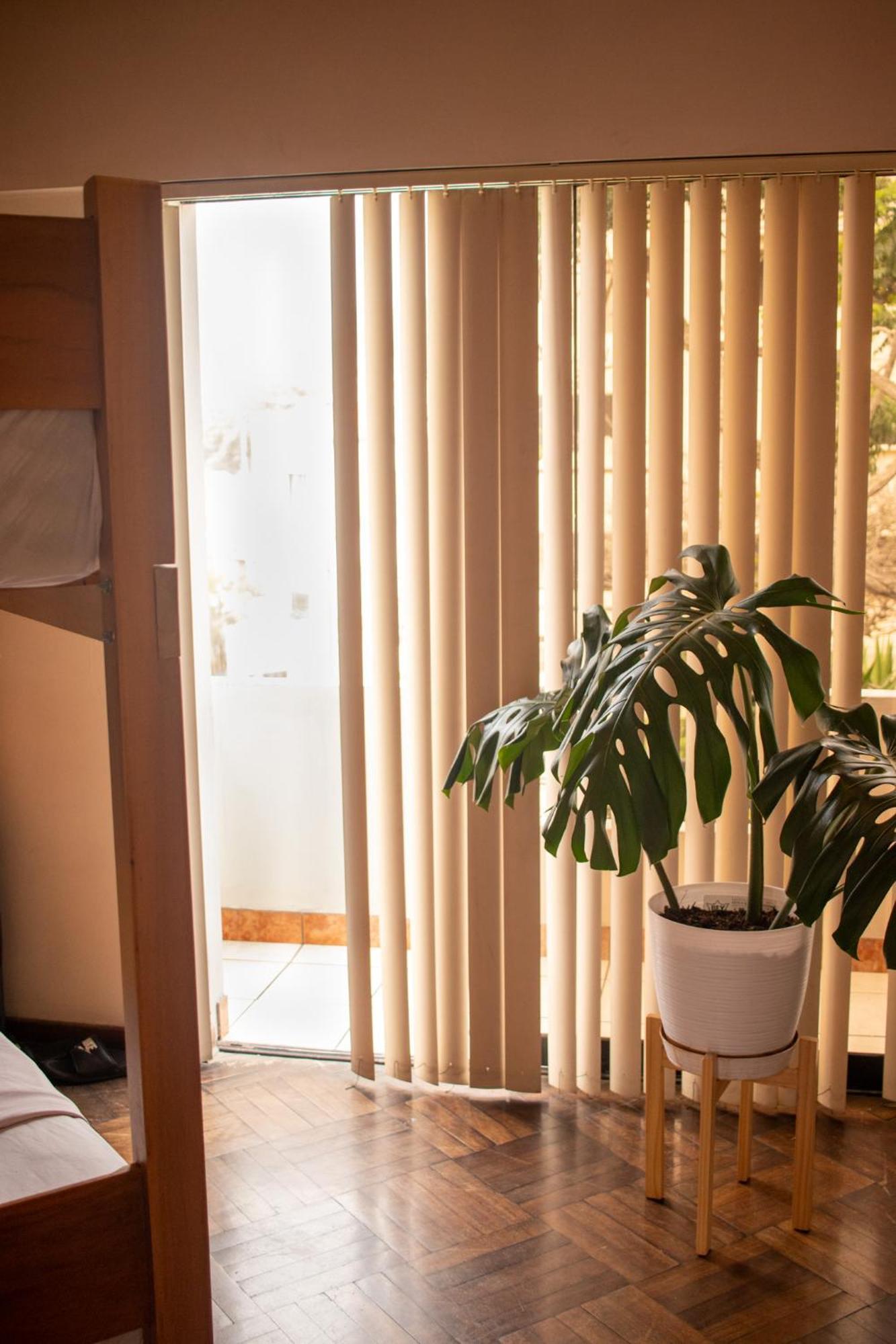 לימה Temazcal Hostel מראה חיצוני תמונה