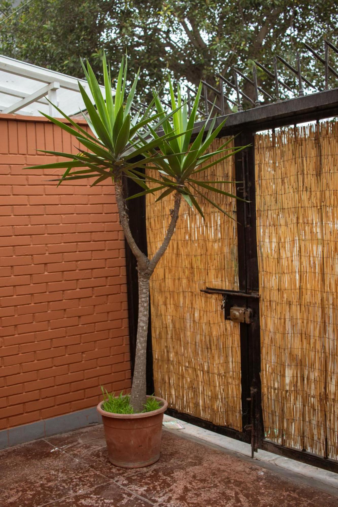 לימה Temazcal Hostel מראה חיצוני תמונה