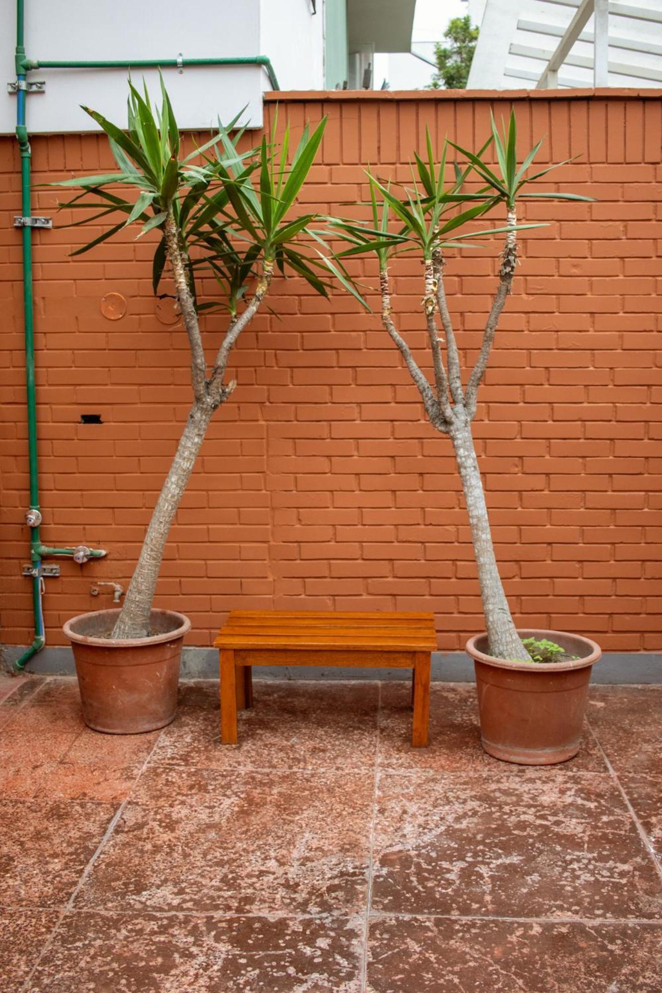 לימה Temazcal Hostel מראה חיצוני תמונה