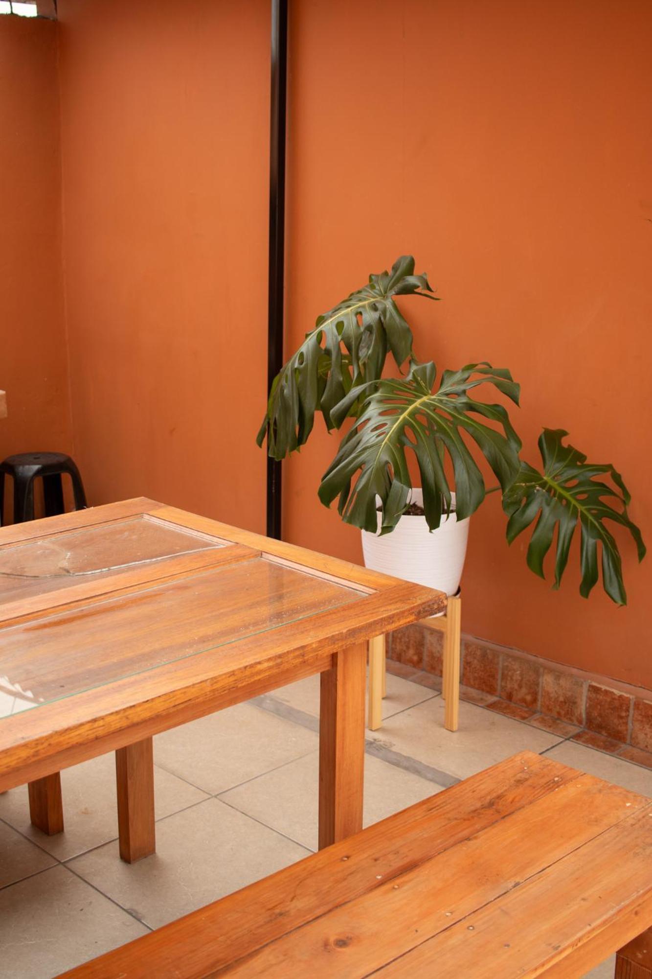 לימה Temazcal Hostel מראה חיצוני תמונה